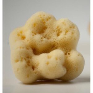 Kalyspogea Fine Silk Sponge White Color